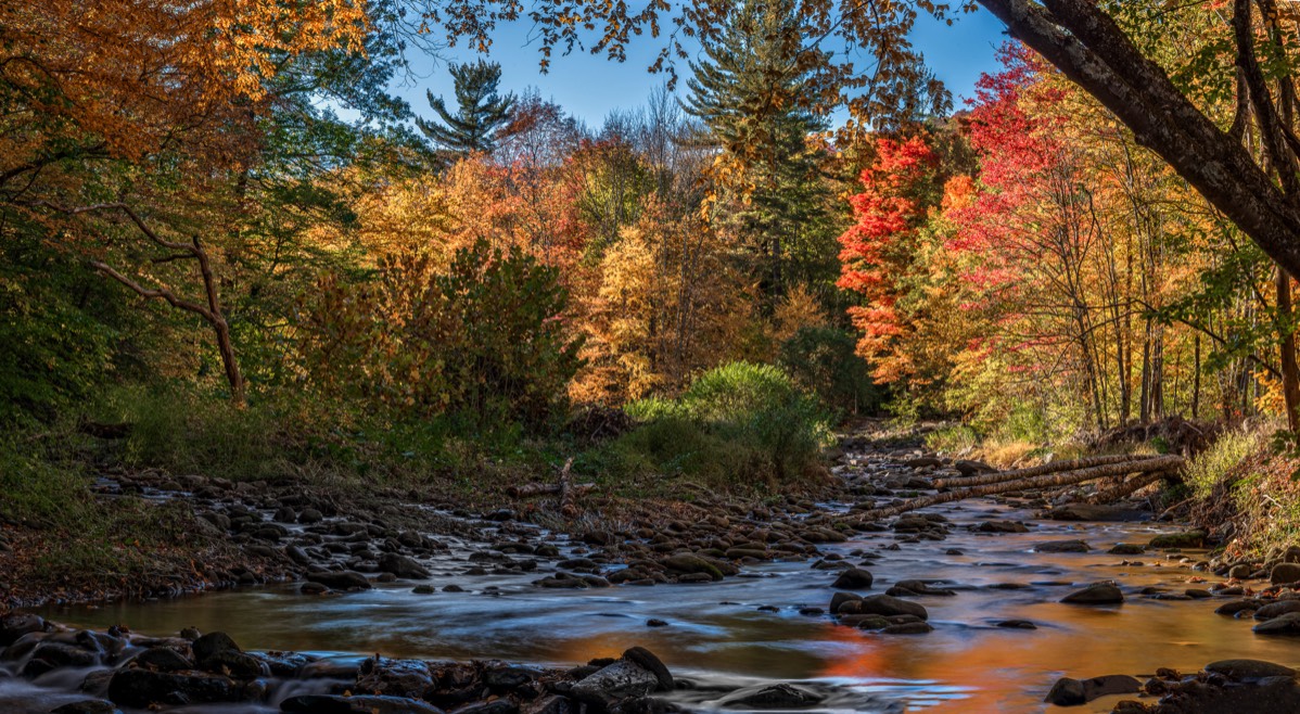 A Guide to Pella Wisconsin